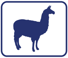 llamingo