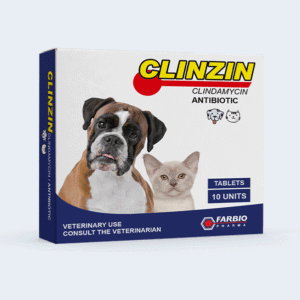 CLINZIN