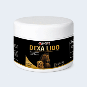 DEXA LIDO