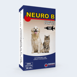 NEURO B